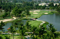 golf_in_paradise.jpg golf_in_paradise.jpg